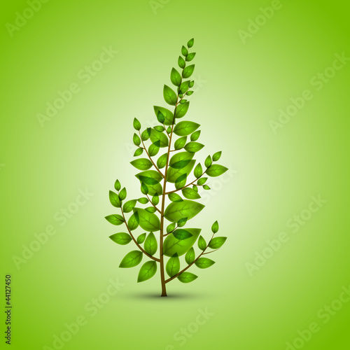 leafy tree