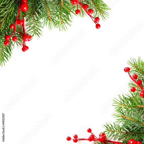 Xmas green tree and red holly berry on white background