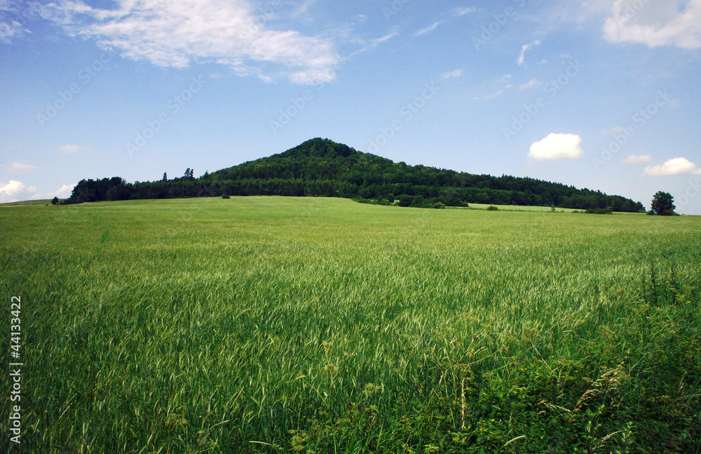 Fototapeta premium Stary wulkan - Ostrzyca Proboszczowska