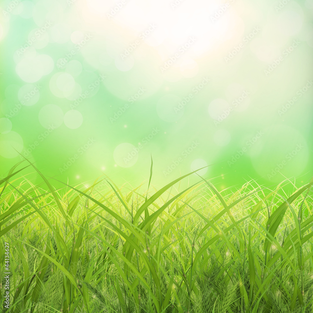 Obraz premium Soft grass background