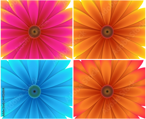 Flower Backgrounds