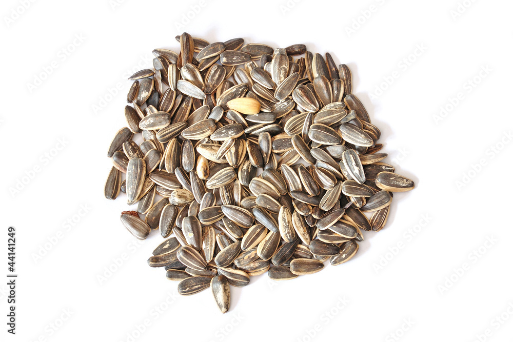 Sunflower seed isolated on white