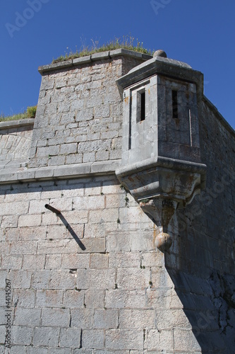 Tableau sur toile Fort Mahler