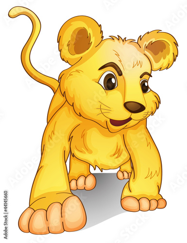 cub on white