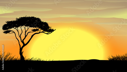 a tree