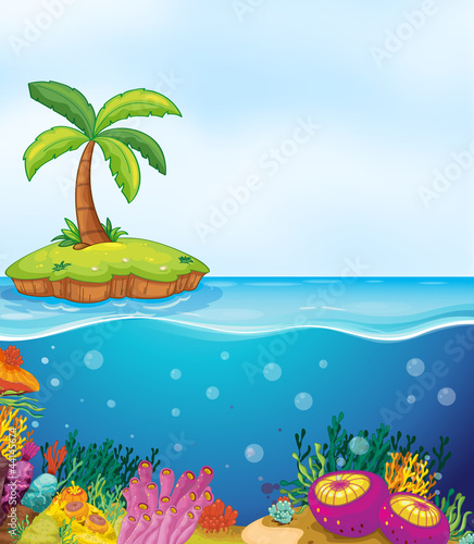 coral and palm tree on island