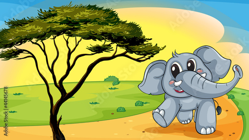 Elephant under a tree