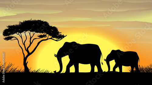 Elephant under a tree © GraphicsRF