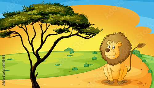 a lion sitting on raod