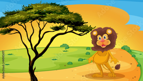 a lion standing on raod