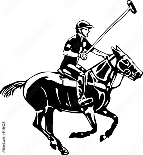 Polo horse and player