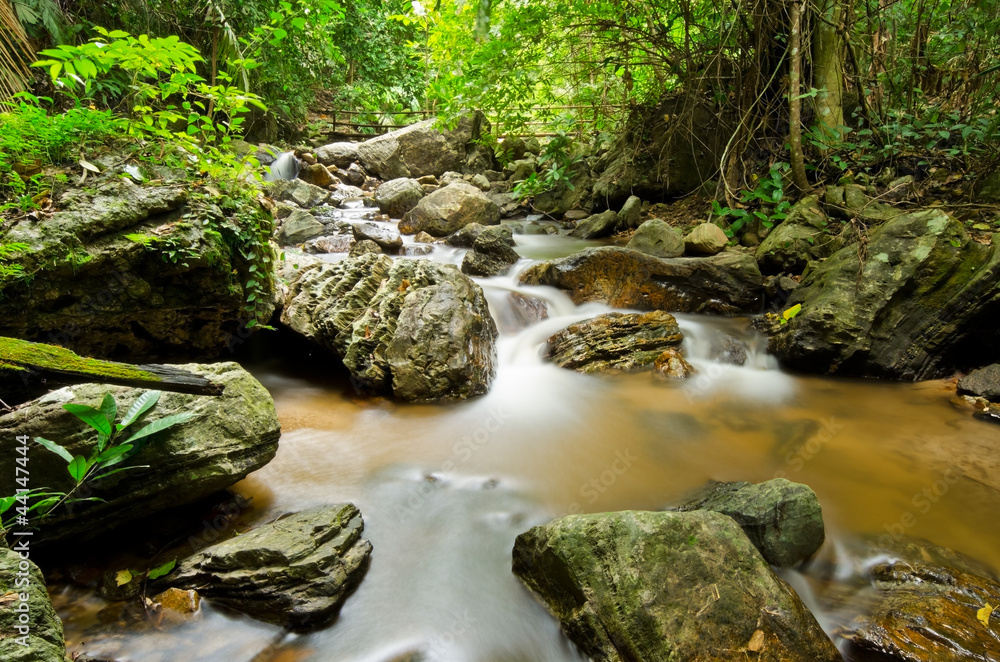 Stream in tropical rain forests Stream in tropical rain forests