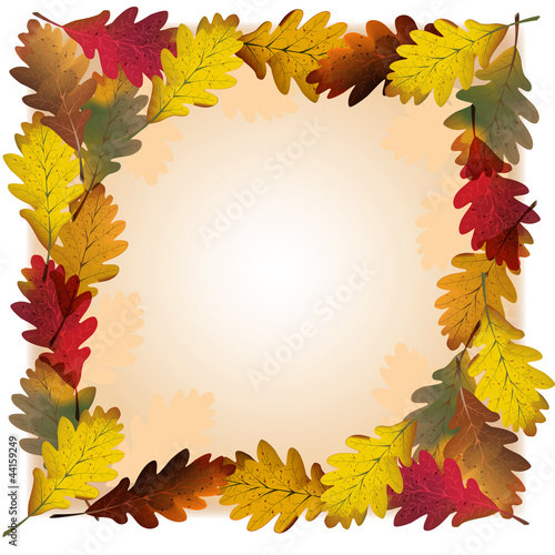 foglie di quercia in autunno