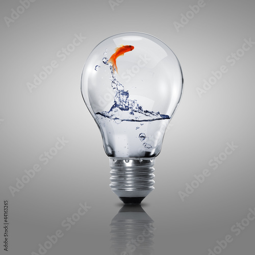 Gold fish inside an electric bulb photo