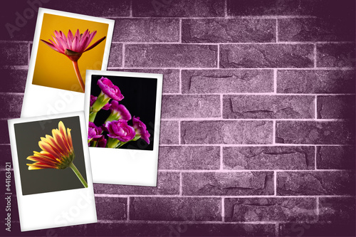 Beautiful flower on grunge brick wall background