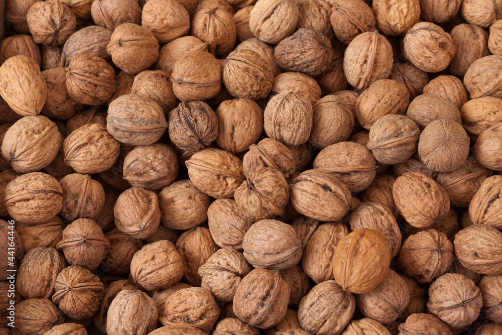 Nueces Nueces