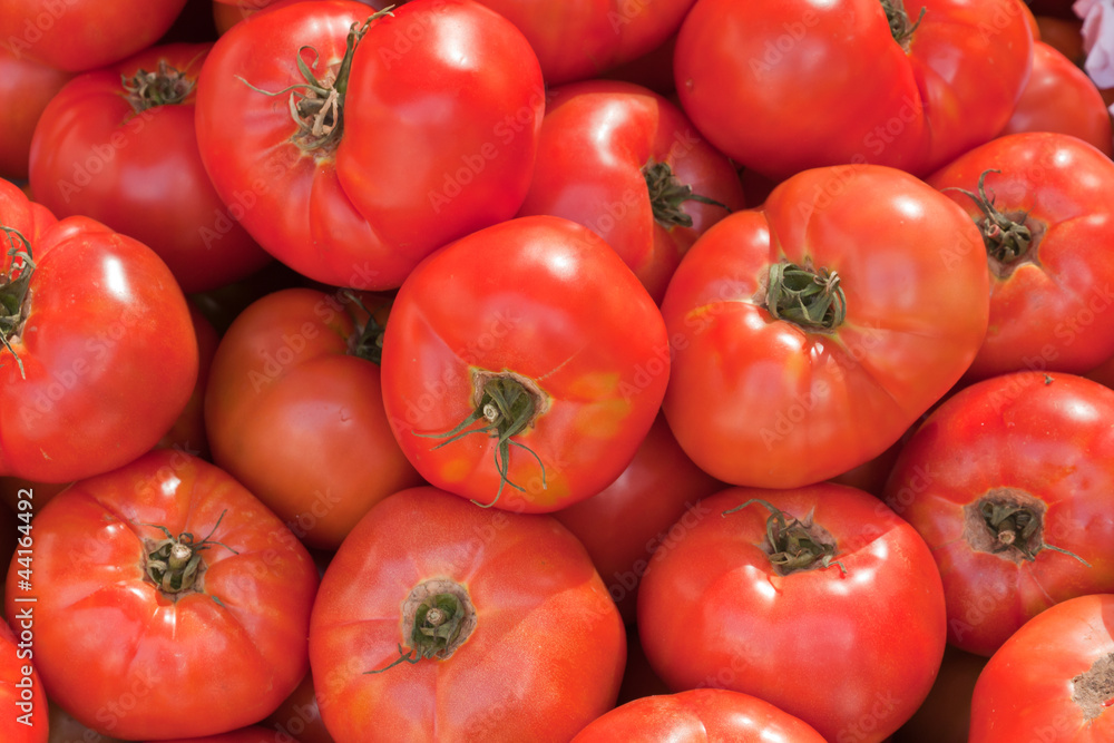 Tomates Tomates