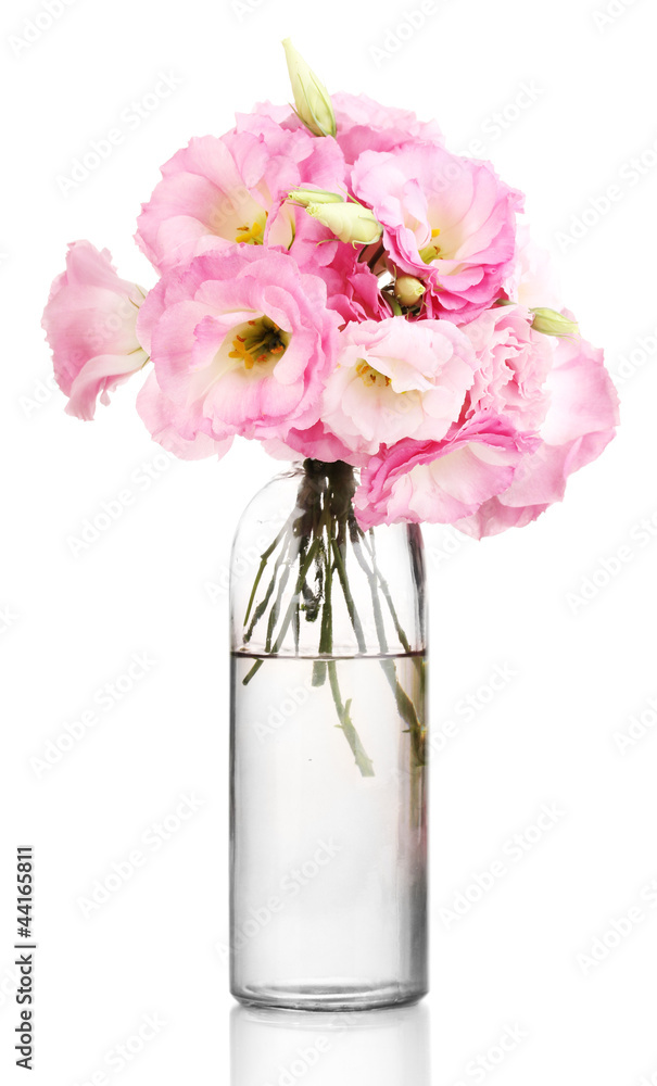 Obraz premium bouquet of eustoma flowers in bottle, isolated on white
