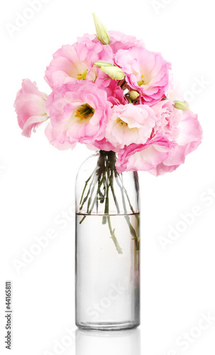 bouquet of eustoma flowers in bottle, isolated on white