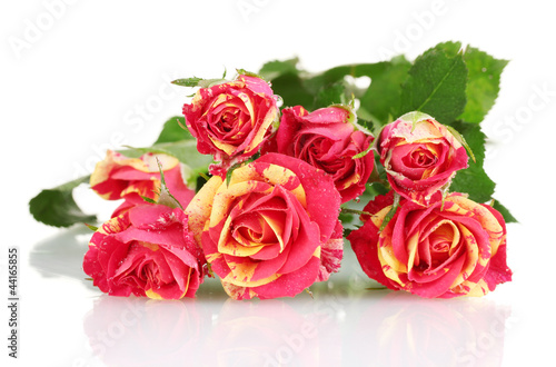 Beautiful red-yellow roses on white background close-up © Africa Studio