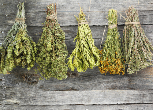 Variety of dried herbs on an old wooden background