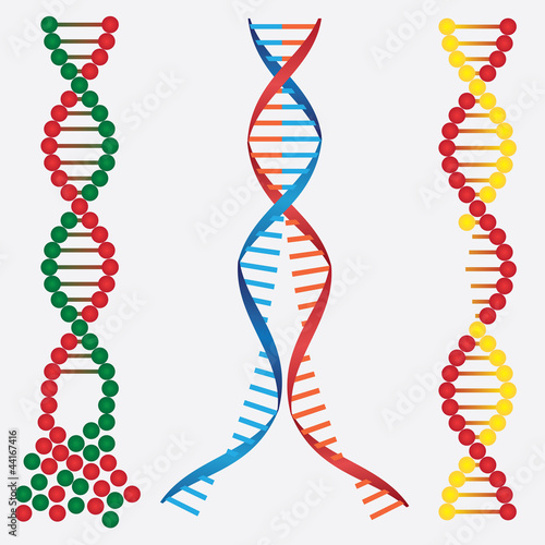 Damaged DNA.
