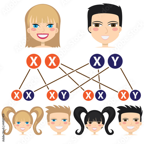 Gender dependency from chromosomes.