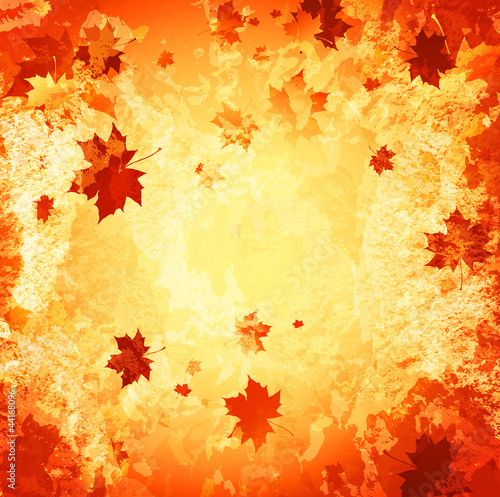 autumn abstract grunge background