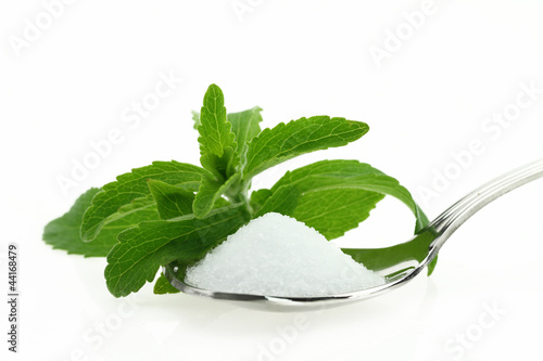 Fresh Stevia Rebaudiana and sugar in a spoon photo