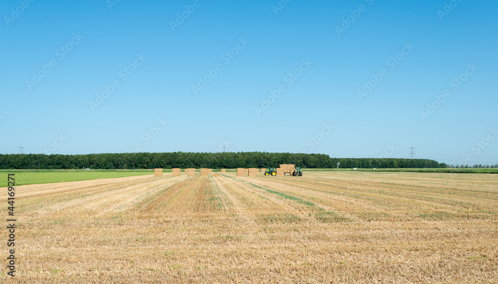 Harvesting hay in summer
