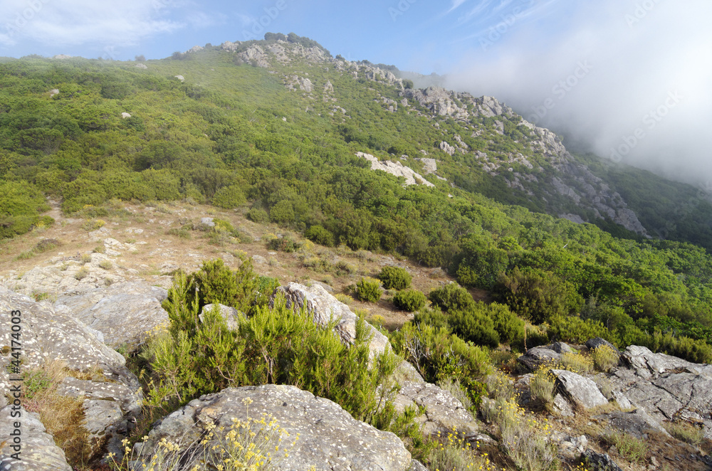pointe de Felicio montagne de Corse
