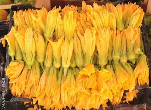 Fiori di zucca
