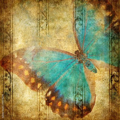 vintage background with blue butterfly over grunge wallpaper photo