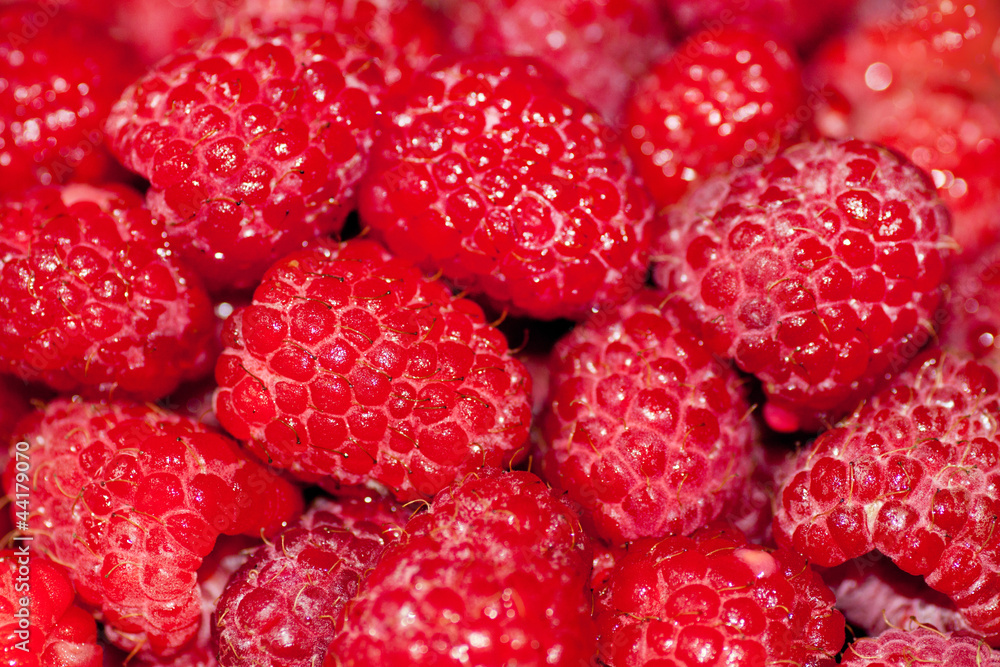 berries of raspberry