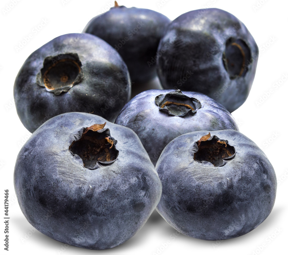 Obraz premium Blueberry isolated on white background