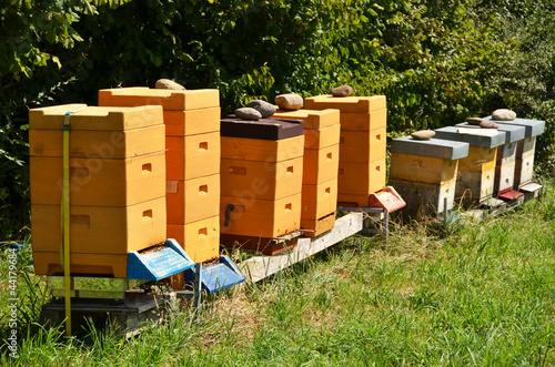 Beehives © pincasso