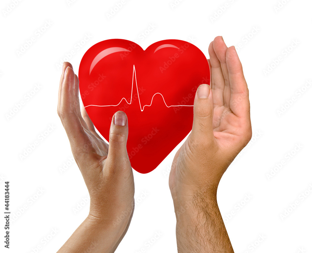 heart between hands heart between hands