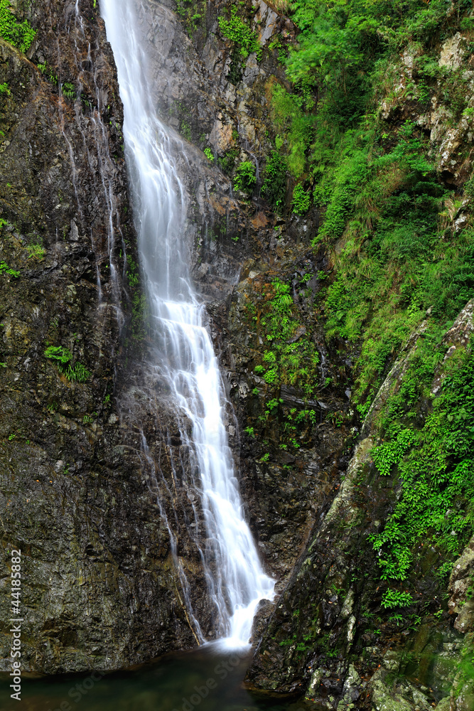 waterfall in forest