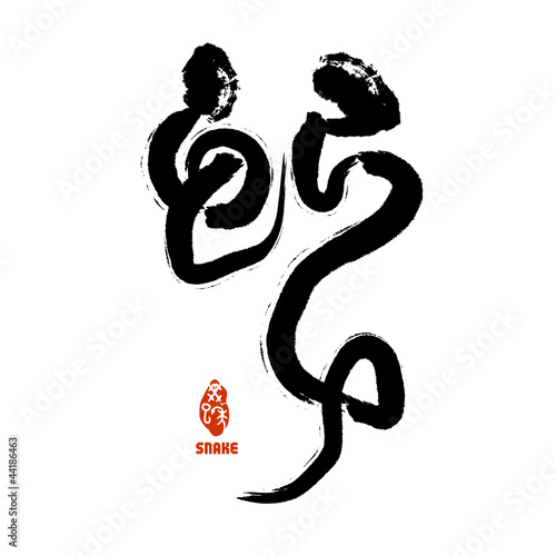 Chinese Penmanship Calligraphy: Snake