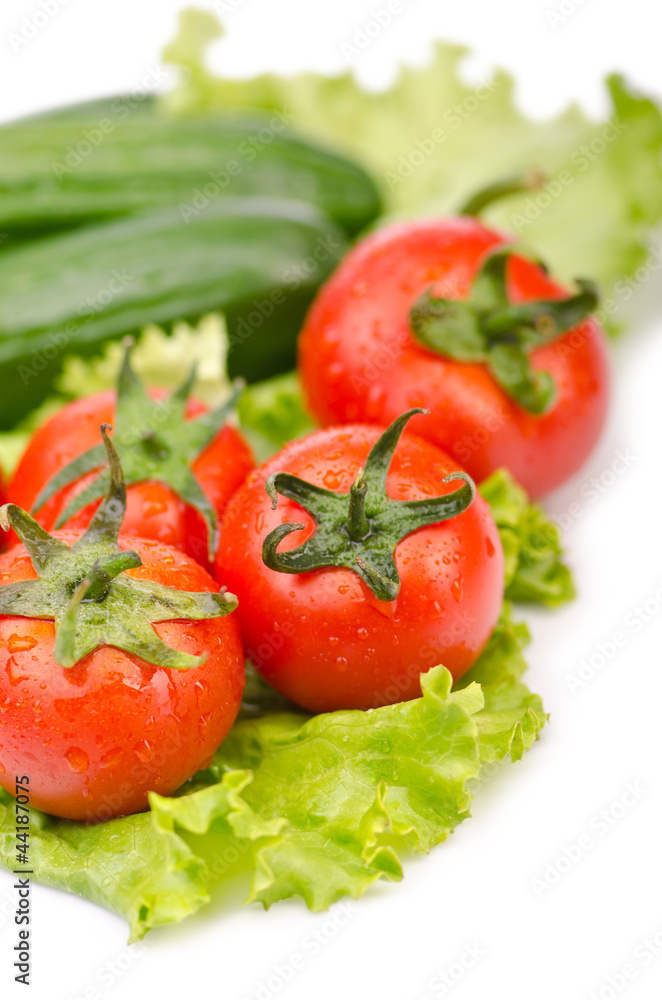 Cucumbers and tomatoes ready for salad Cucumbers and tomatoes ready for salad