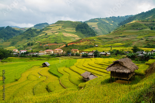 Rice Terraces
