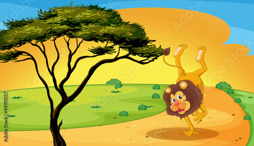 a lion playing on road