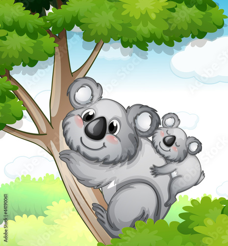 bears in nature