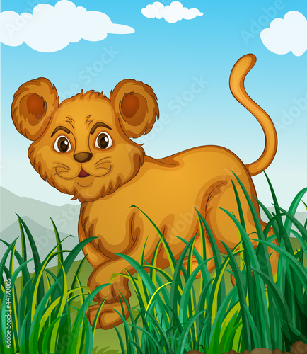 a cub in nature