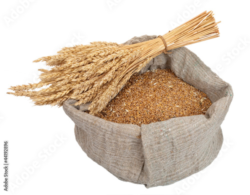 Bag with wheat grain and ears of wheat