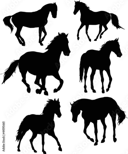 horse set