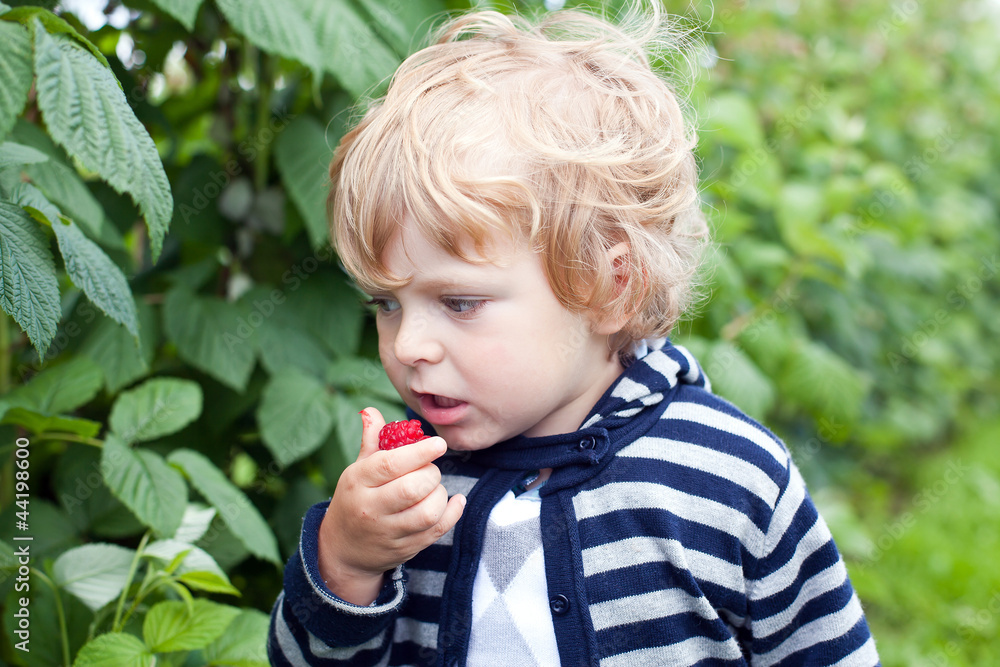 Adorable toddler eating berry on fruit farm Adorable toddler eating berry on fruit farm