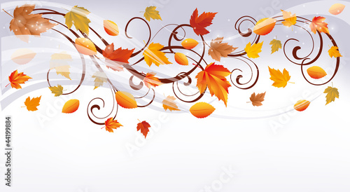 Autumn banner  vector illustration