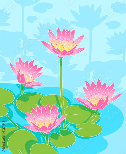 Fototapeta Naklejka Na Ścianę i Meble -  pond with beautiful pink lilies