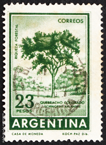 Postage stamp Argentina 1965 Red Quebracho Tree photo